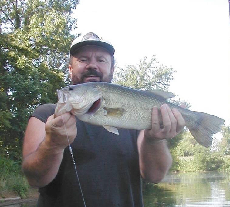 Image of bigbass1.jpg